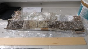 Maryton sediment core