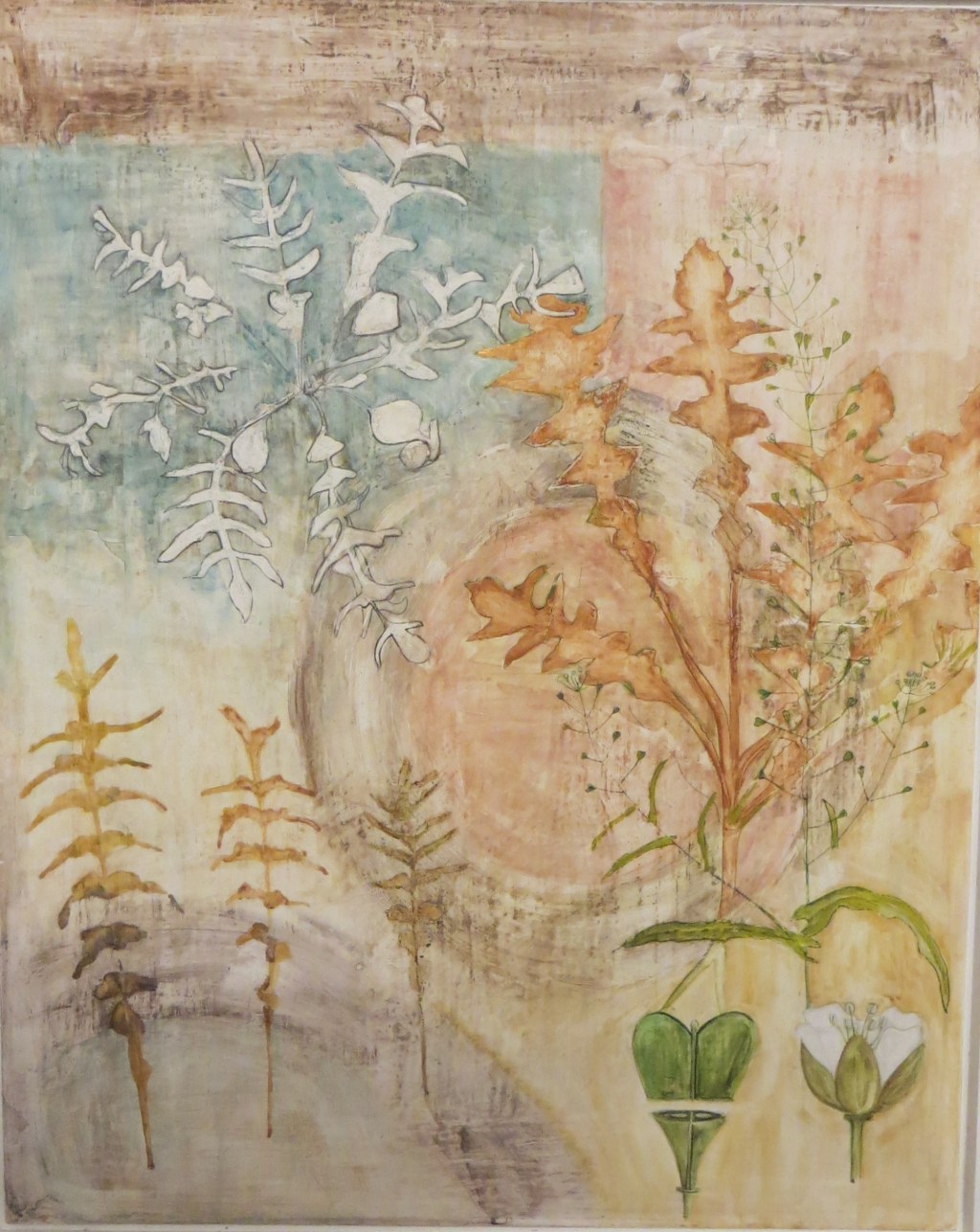 Living Field at James Hutton Institute,5000years of agricultural&nbsp;plants